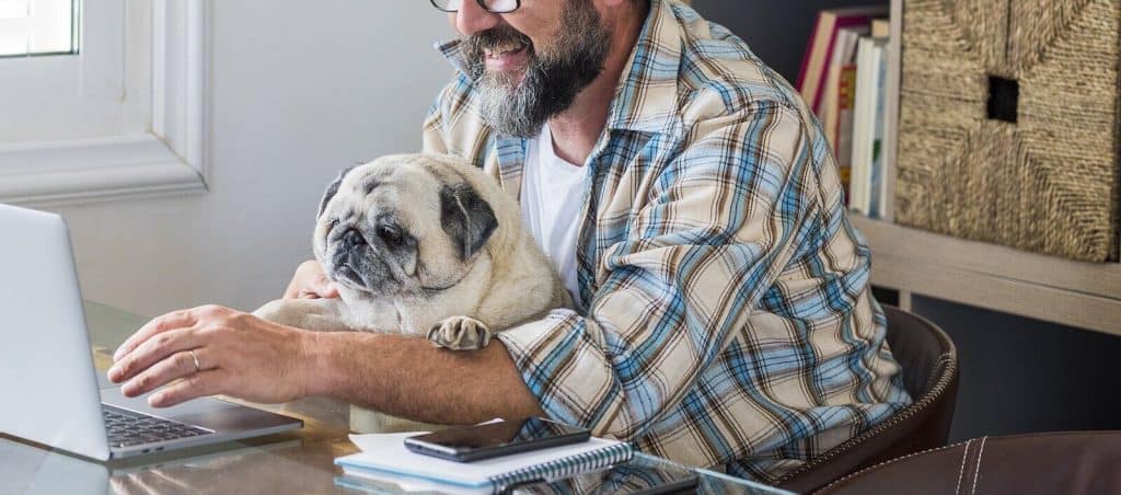 Image of a man with a pug sitting at a laptop. Showing one of the benefits of online therapy in North Carolina. When you start virtual therapy