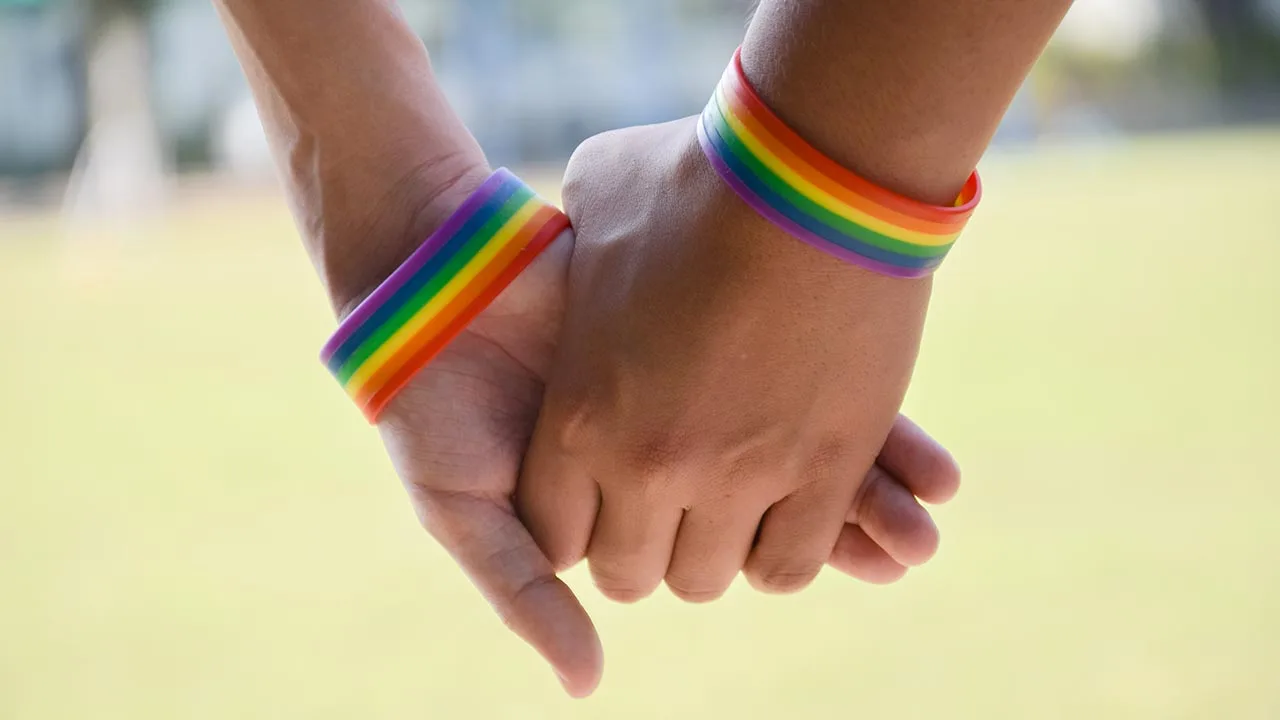 LGBTQIA Affirmative therapy