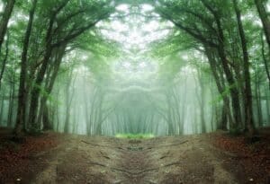 Therapy For Black, Indigenous, and People Of Color (BIPOC) in North Carolina